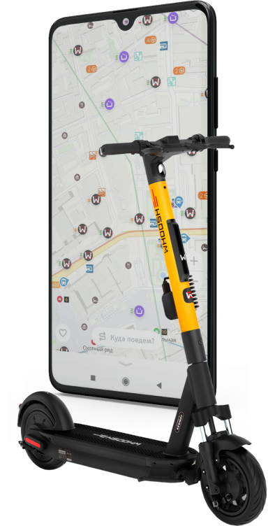 header-background-illustration